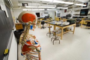 Lab