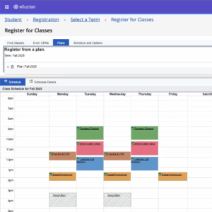 Example of registration screen with schedule